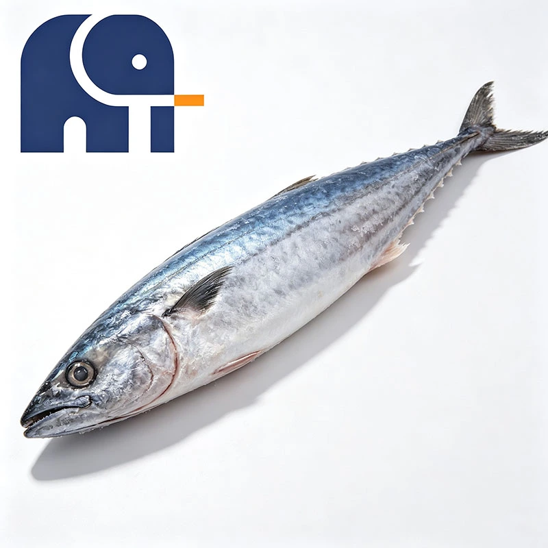 Hvad er spansk makrel, og hvorfor er det værdsat på fisk og skaldyrsmarkeder?