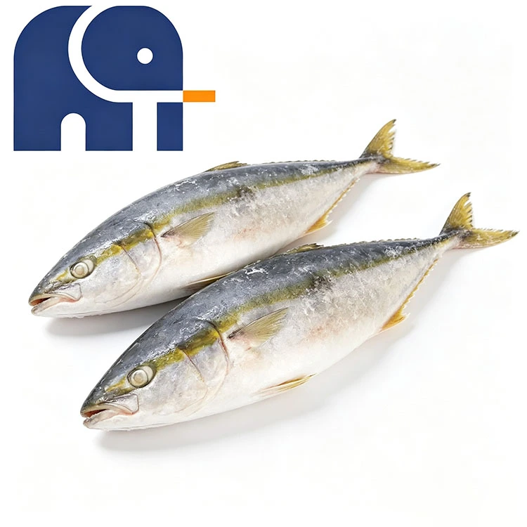 Frossen Yellowtail Hel Rund