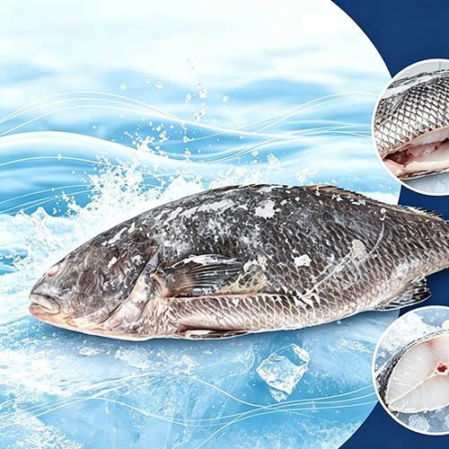 Næringsrig Frozen Brown Croaker Renset