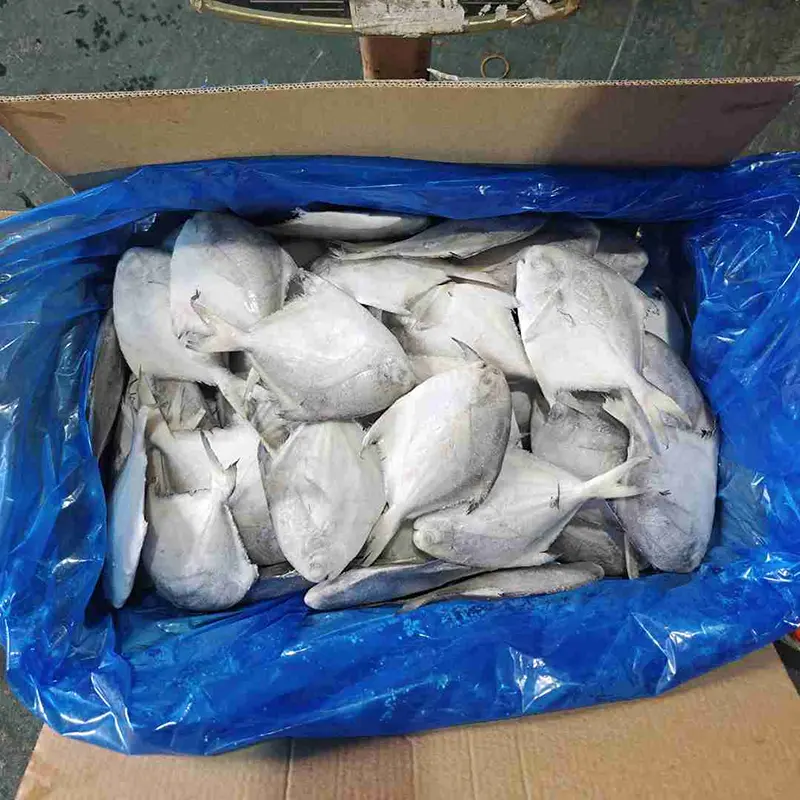 Premium karton hvid Pomfret Hel rund Premium karton hvid Pomfret Hel rund