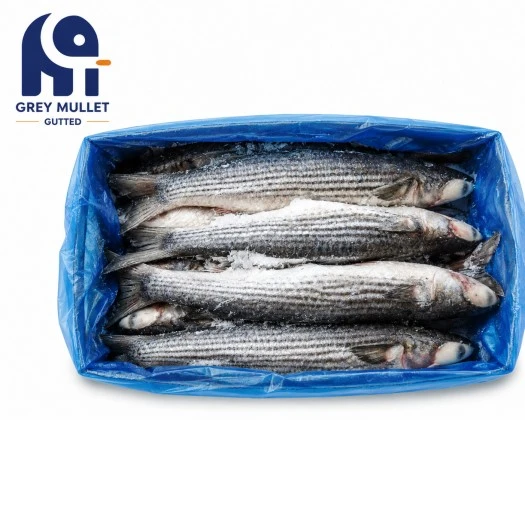 Raffineret forarbejdning Frozen Gray Mullet Renset